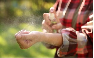 co odpudzuje klieste